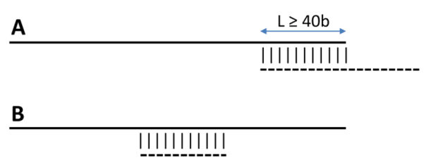 Image isoforms